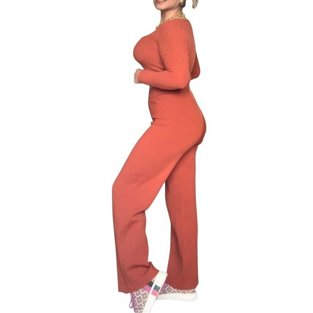 Aritizia Wilfred Stylish terracotta Set (top & pants) XS
